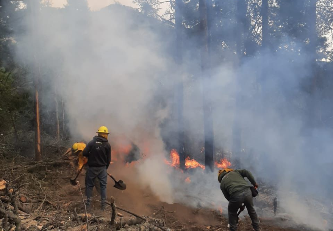 Logra Probosque contener incendios en Texcoco y Amecameca
