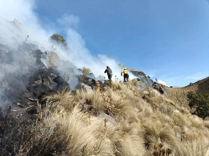 Incendio forestal en el parque nacional Izta-Popo, se queman 260 hectáreas