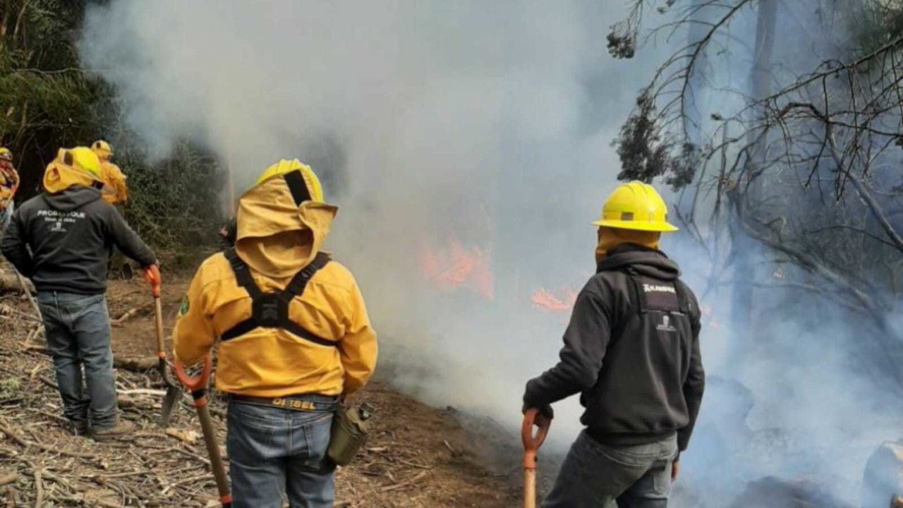 Los brigadistas siguen trabajando por tierra para sofocar el incendio en su totalidad. Foto: Gob. de Edoméx