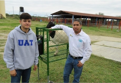 Estudiante de la UAT revoluciona la producción agropecuaria con sistema de monitoreo de alimentación