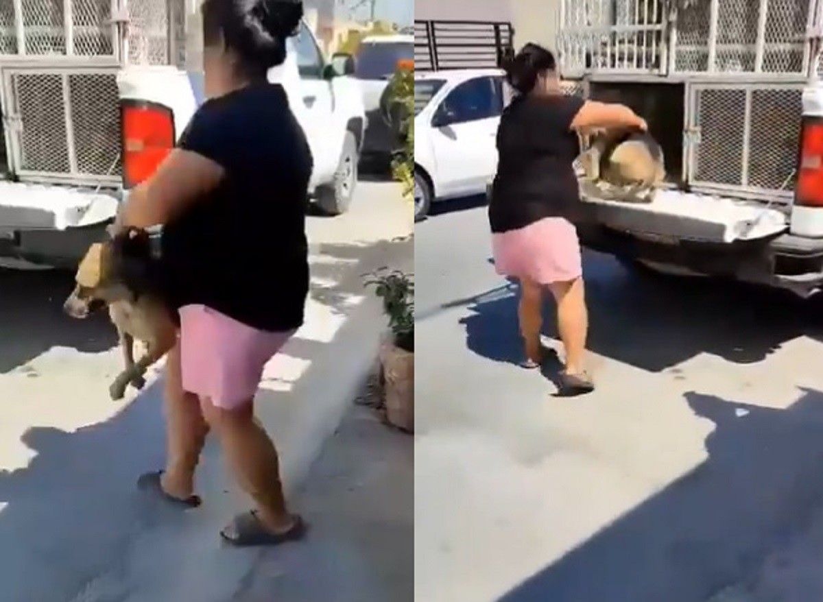 Mujer se deshace de su perrita 'Güera' de forma cruel ¡Ya anda panzona! (VIDEO)