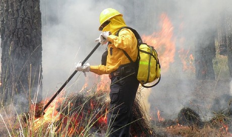 México registra 126 incendios forestales activos: CONAFOR