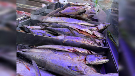 Repuntan las ventas en pescaderías durante la Semana Santa