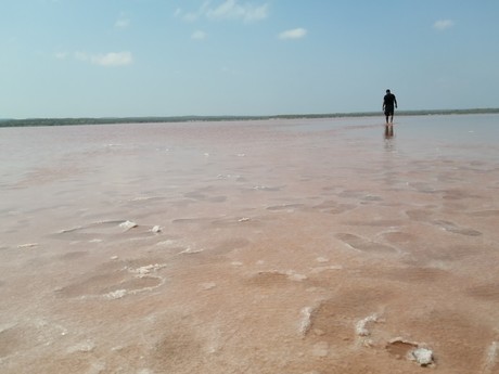 Visita las aguas rosadas a unos minutos de la Pesca Tamaulipas