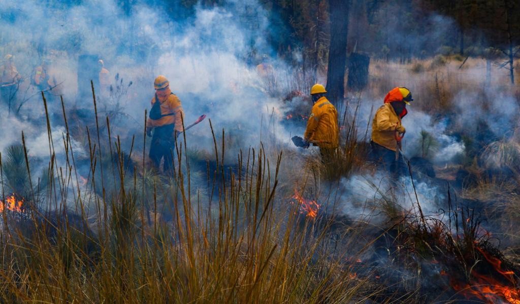 Incendios forestales amenazan la CDMX, empeoran la calidad del aire