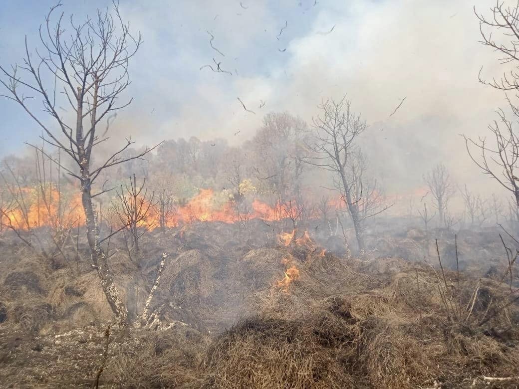 Incendio forestal en el Nevado de Toluca...otra vez