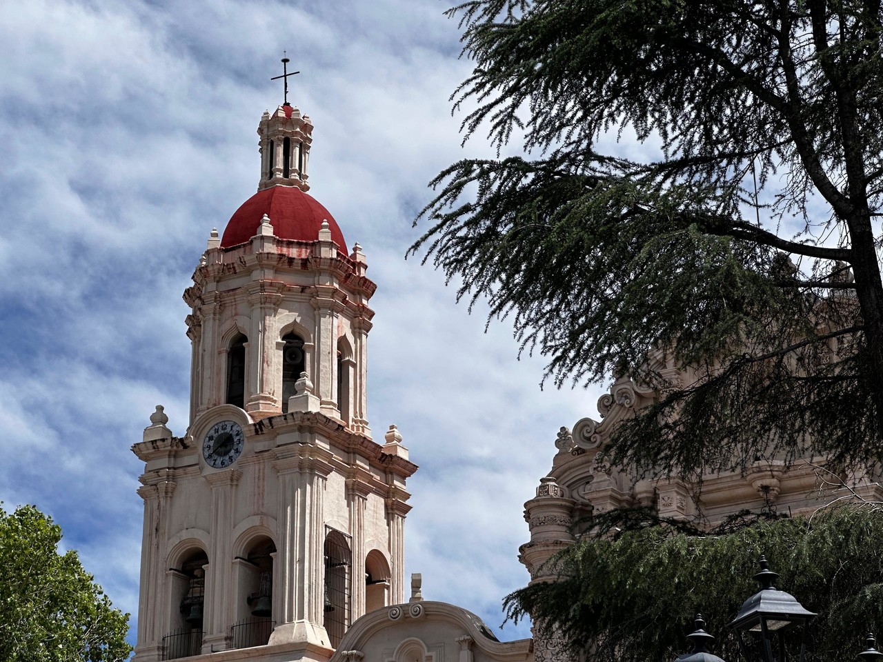Celebran creyentes 'Domingo de Ramos' en la Catedral de Saltillo