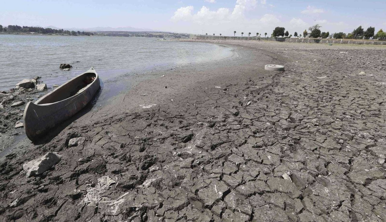 Sequía afecta a los 125 municipios del Edoméx. Foto: Especial