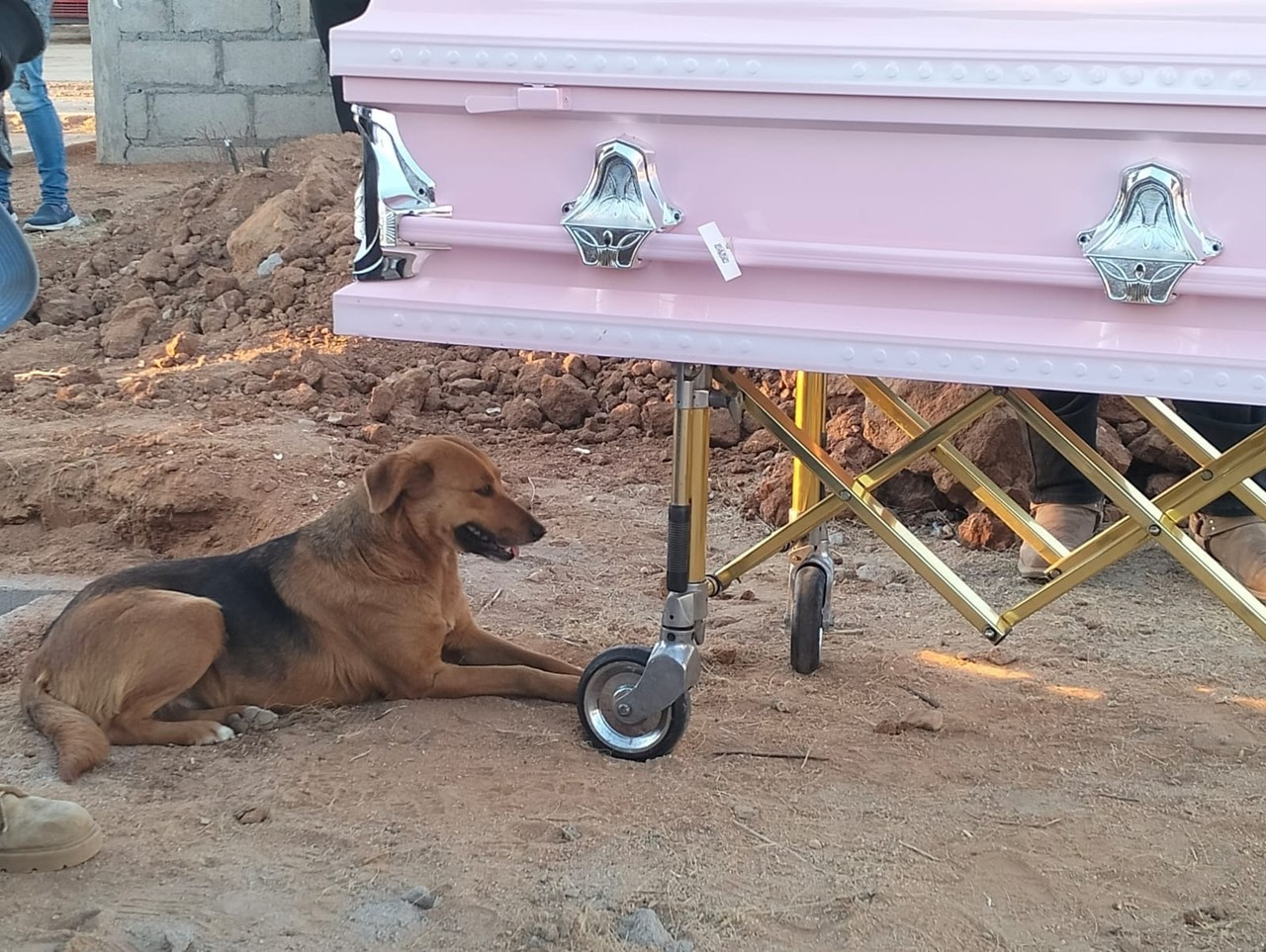 La perrita acompañó a su dueña hasta el panteón donde fue sepultada. Foto: Facebook Madres Buscadoras de Sonora.