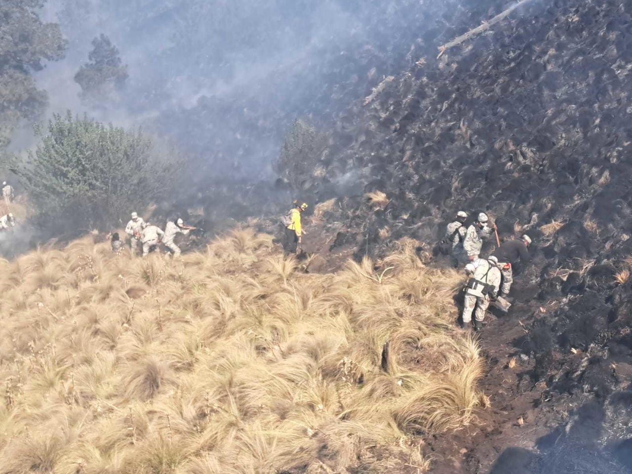 Consume unas mil 600 hectáreas el incendio en el parque Izta-Popo