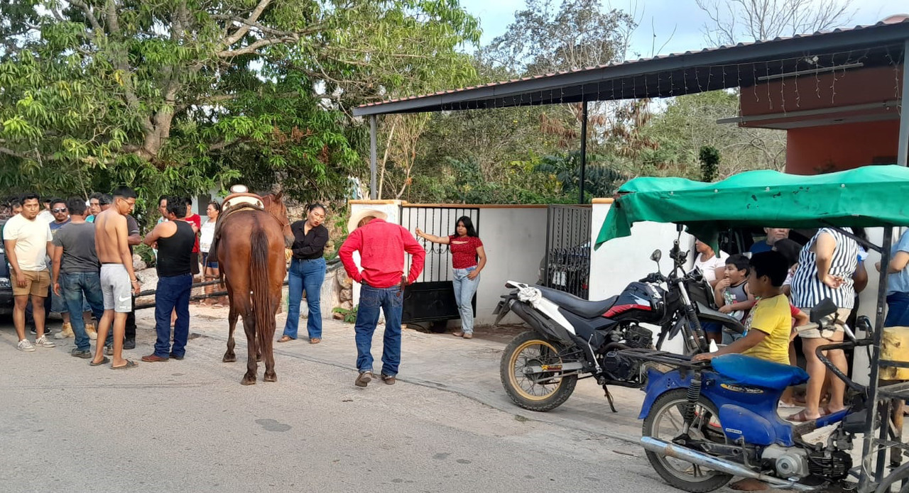 Niño sale lesionado por un caballo desbocado en Seyé
