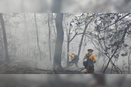 Suman 190 hectáreas consumidas por el incendio en la sierra de Hidalgo