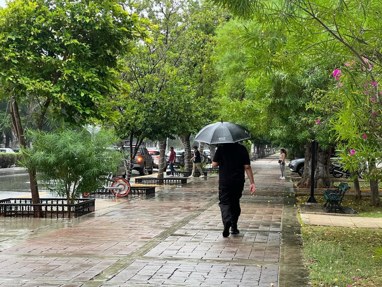 Para este jueves se pronostican temperaturas bajas con alta probabilidad de lluvias para la Península.- Foto de Meteorología Yucatán