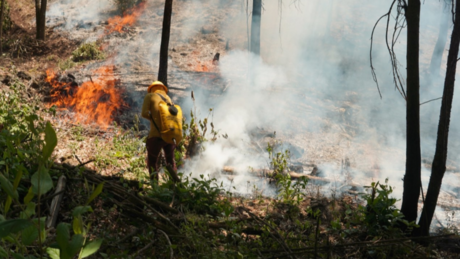 Liquidan 13 incendios forestales en Edomex; combaten dos incendios activos