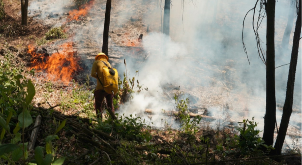 El Estado de México es una de las entidades más afectadas por incendios forestales, según la Conafor. Foto: Probosque