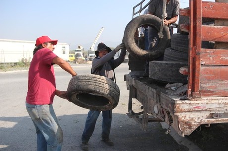 Santa Catarina y Estado recolectan 200 toneladas de basura
