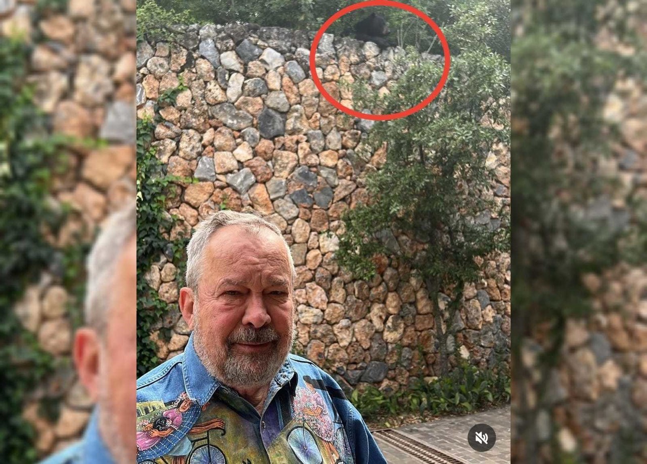 El ex alcalde se mostró sorprendido pero tranquilo ante la presencia del oso. Foto: Instagram.