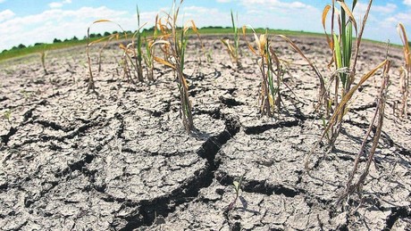 25 municipios de Tamaulipas sufren de sequía extrema