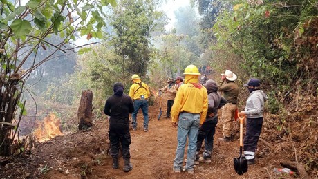 Únete como voluntario para combatir incendios forestales: ¡Conoce las normas!
