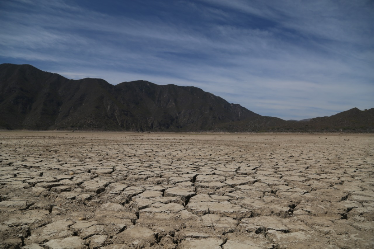 De acuerdo al Monitor de Sequía de la Conagua, Tamaulipas se encuentra en el lugar 14 a nivel nacional en presencia de sequía. Foto: Conagua
