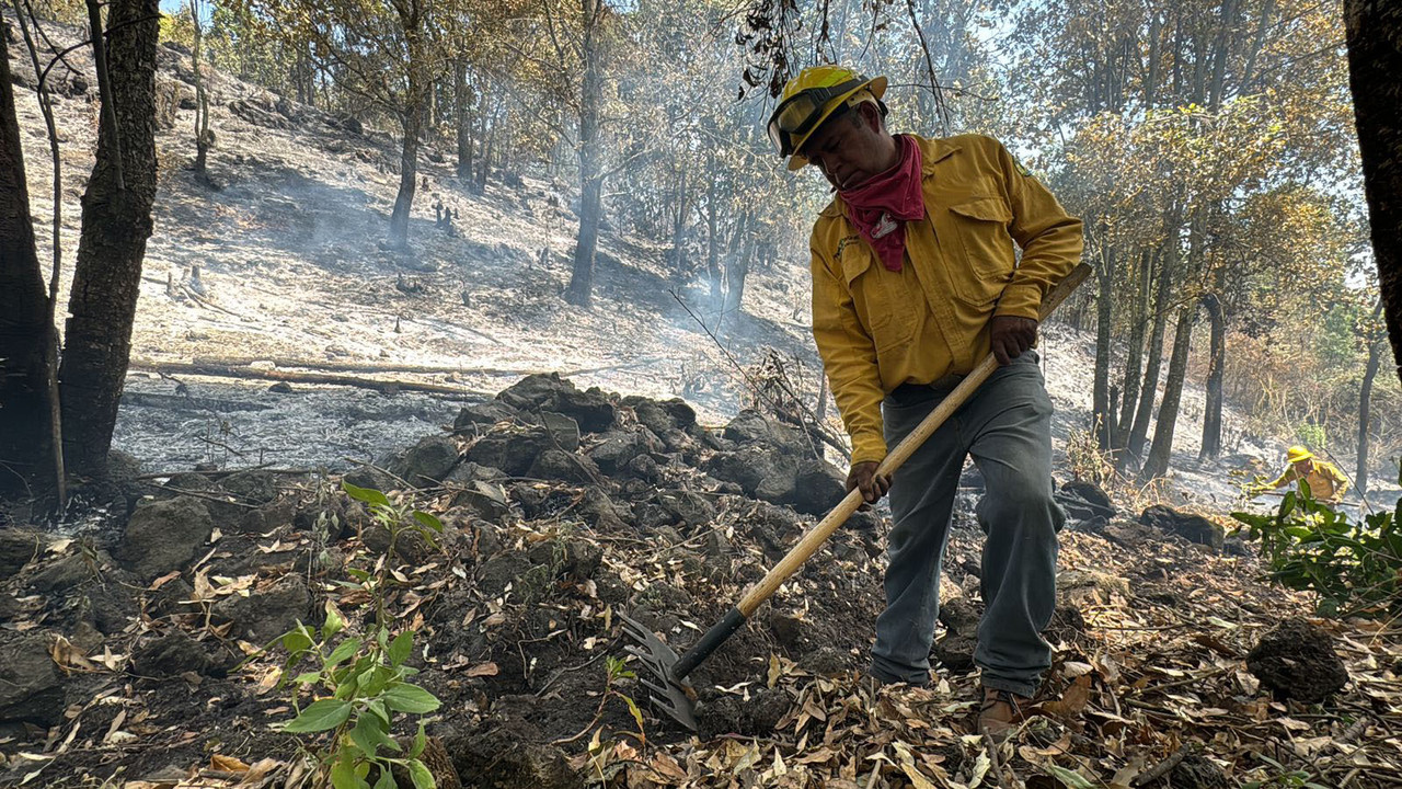 Brigadistas continúan trabajando en el combate de los incendios en el Edomex. Imagen: Probosque.