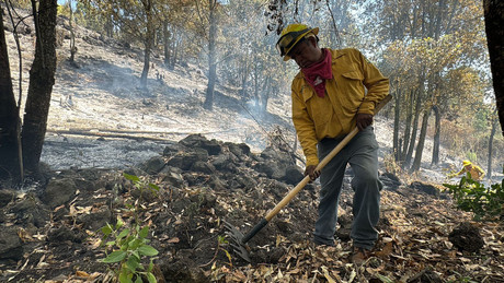 Controlan nueve incendios forestales en Edomex; aún quedan dos pendientes
