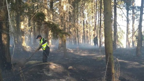 Liquidan 14 incendios forestales en Edomex: Probosque