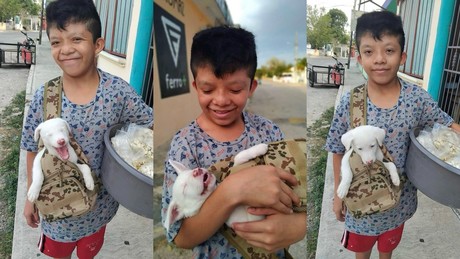 Niño de Valladolid sale a vender palomitas con su perrito albino