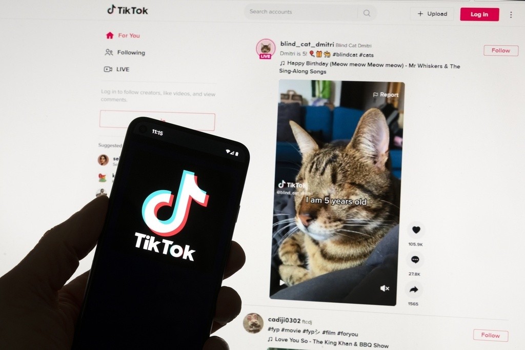 El logo de TikTok en un teléfono celular, en Boston, el 18 de marzo de 2023. (Foto AP/Michael Dwyer)