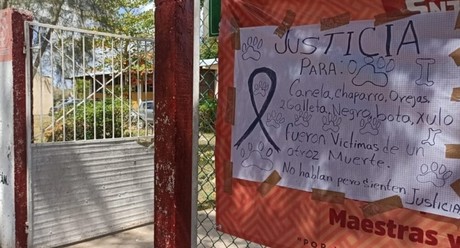 Suspenden a directora en Yucatán por envenenamiento de perros en secundaria