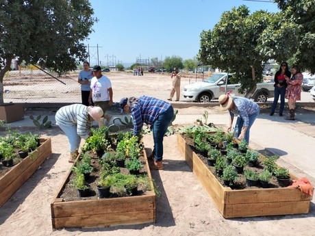 Instalan huerto comunitario y reforestan parque Las Alamedas en Torreón