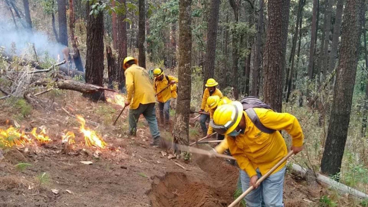 El combate a los incendios forestales en Edomex se ha reforzado, en tanto, se registran menos siniestros. Foto: Probosque