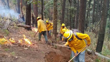 Combaten 4 incendios forestales en Edomex, van a la baja