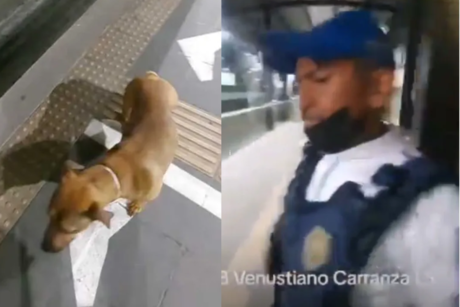 VIDEO: Suspenden a policía que agredió a un perrito en estación de Metrobús CDMX