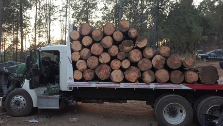 Golpe a los talamontes en Texcaltitlán, aseguran tres camiones y madera ilegal