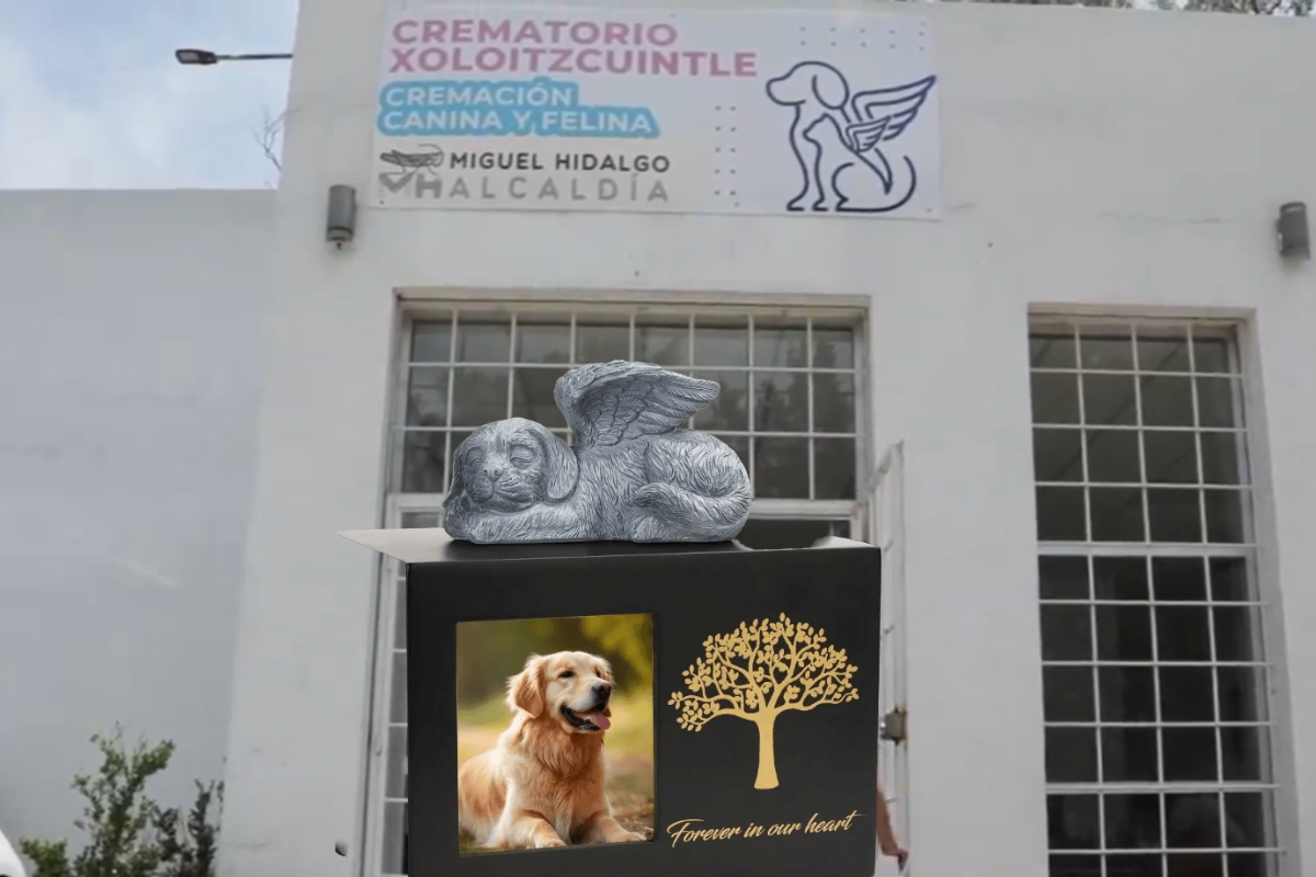 Porque ellos también lo merecen, conoce el único Crematorio de Mascotas en CDMX.                Foto: Especial