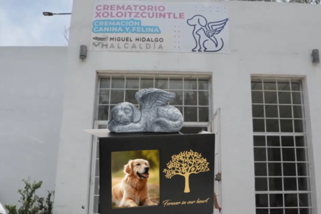 Porque ellos también lo merecen, conoce el único Crematorio de Mascotas en CDMX