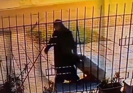 Captan a 'monja' arrastrando maleta con cadáver de su amiga (VIDEO)