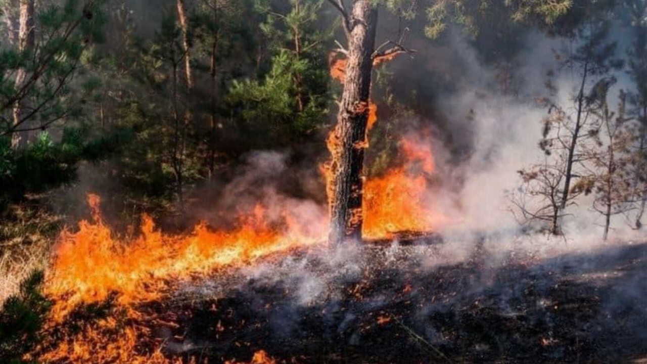 En Valle de Bravo se liquidó el incendio en Cerro Gordo. Foto:  FB Ruta Sur