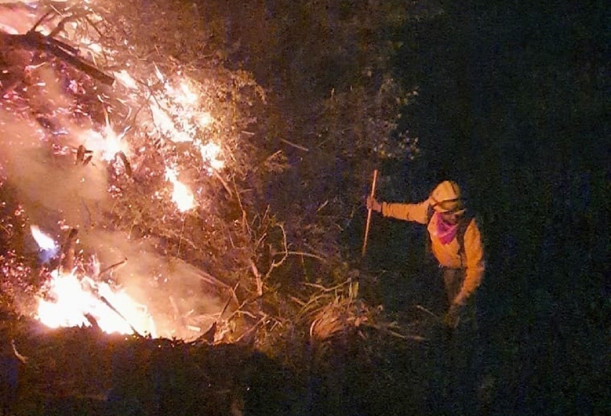 En el municipio de Santiago, Nuevo León, se han registrado varios incendios forestales causados por descuidos. Foto: Archivo/POSTA MX.