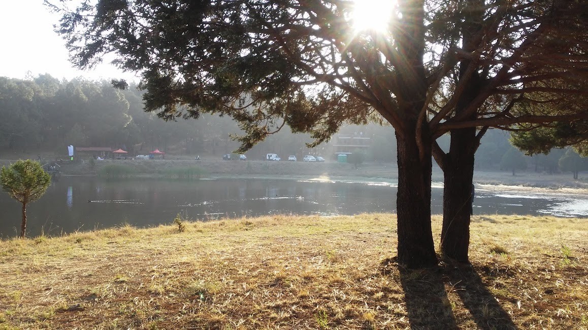 Esta semana continuará el ambiente caluroso en la mayor parte del estado. Foto: Lorena Ríos