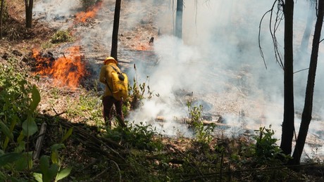 Liquidan 13 incendios forestales en Edoméx, se activan 3 más