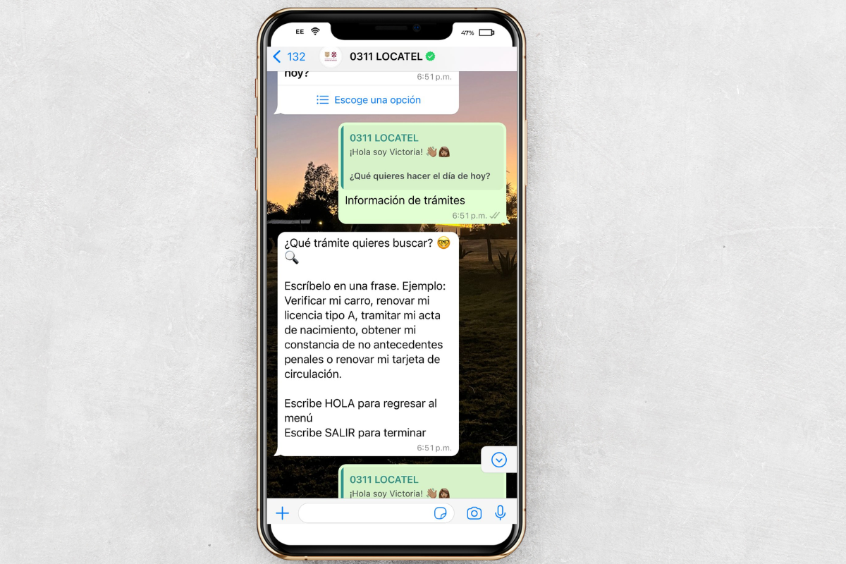 La nueva manera de realizar algunos trámites gubernamentales mediante WhatssApp, así se ve el inicio de la conversación con Locatel. Foto: Captura de pantalla