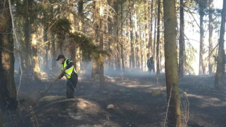 Combate Probosque tres incendios forestales activos en Edomex