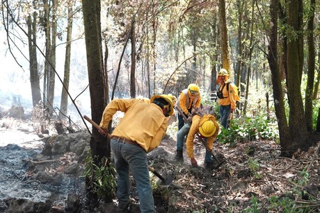 Luchan 563 combatientes contra incendios forestales en Edomex