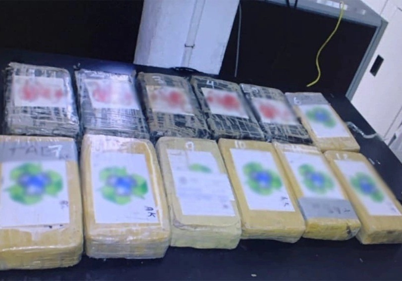 Los 256 kilos de droga mismos que fueron asegurados por elementos de la FGR. Foto: FGR.