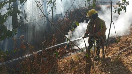 Alarma incendio forestal en Nicolás Romero