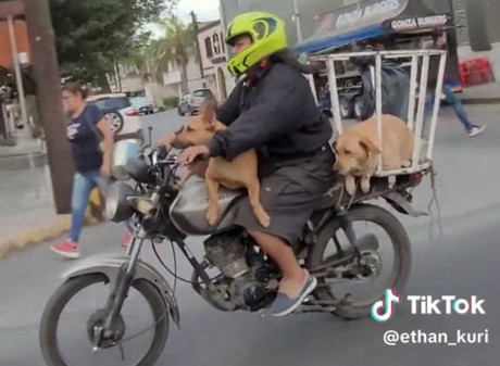 Pasean a perro en un cesto de basura sobre una moto en Monterrey