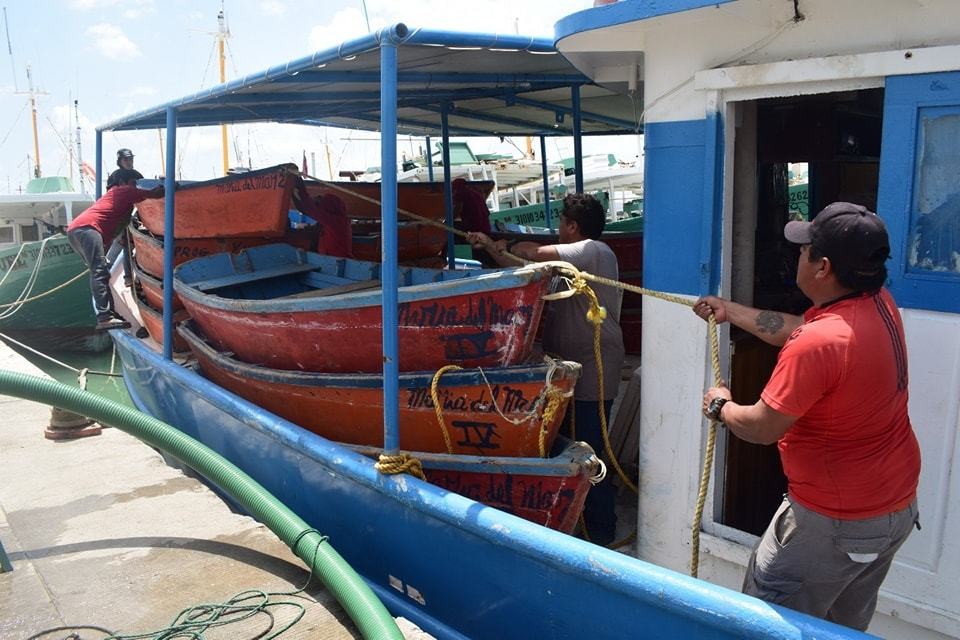 Luego de dos meses de pausa por la veda del mero, este lunes pescadores yucatecos volvieron a su actividad que concluirá el 31 de enero del próximo año.- Foto redes sociales