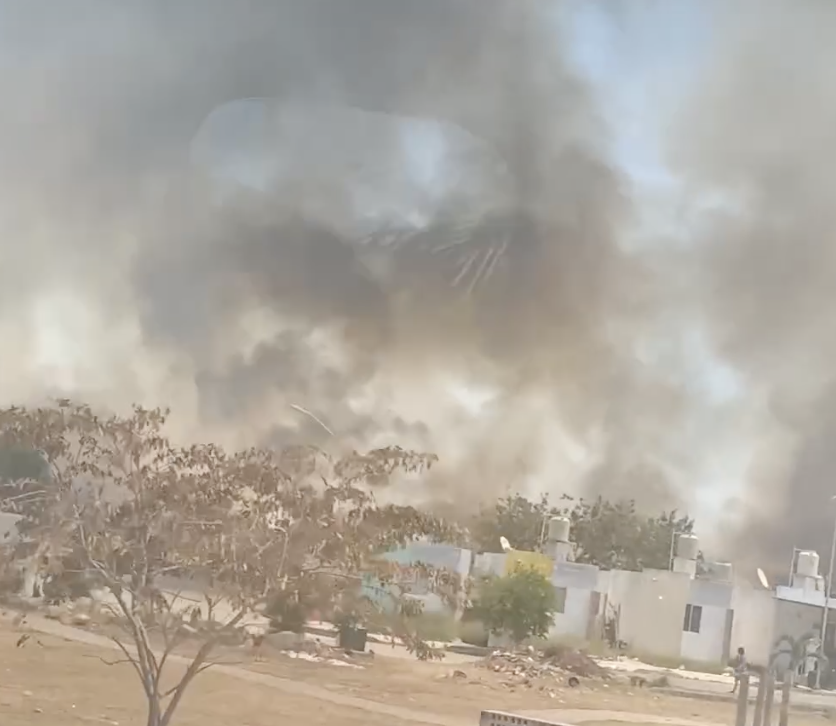 Usuarios de redes sociales reportaron en vídeos un incendio en un monte cercano al fraccionamiento Gran San José en Kanasín.- Foto de Wilferlian-Bros